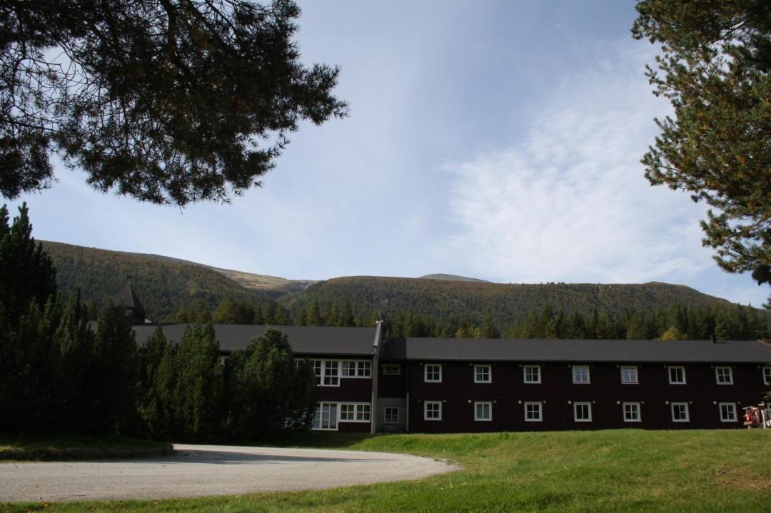 Photo of Others in Dovreskogen
