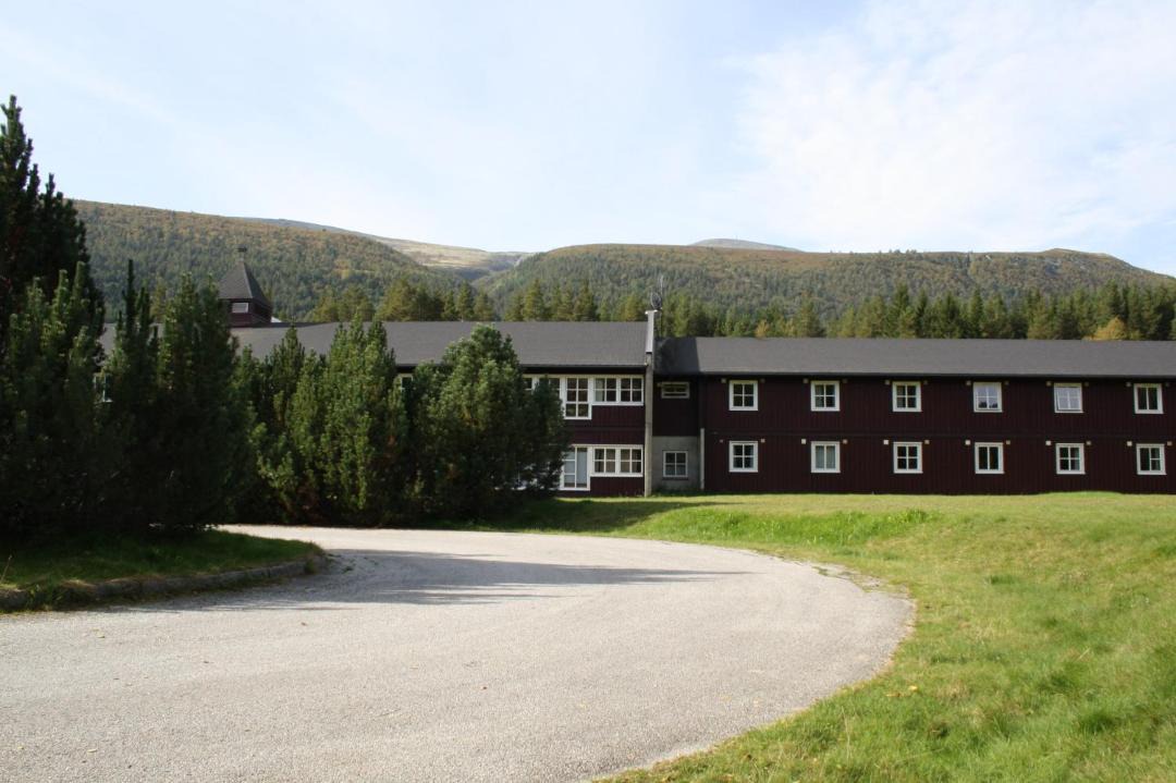 Photo of Others in Dovreskogen