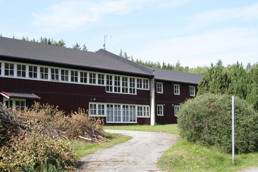 Photo of Others in Dovreskogen