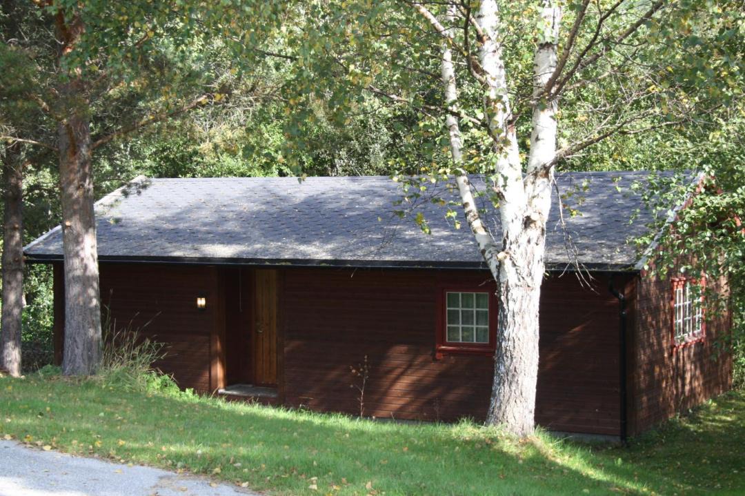 Photo of Others in Dovreskogen