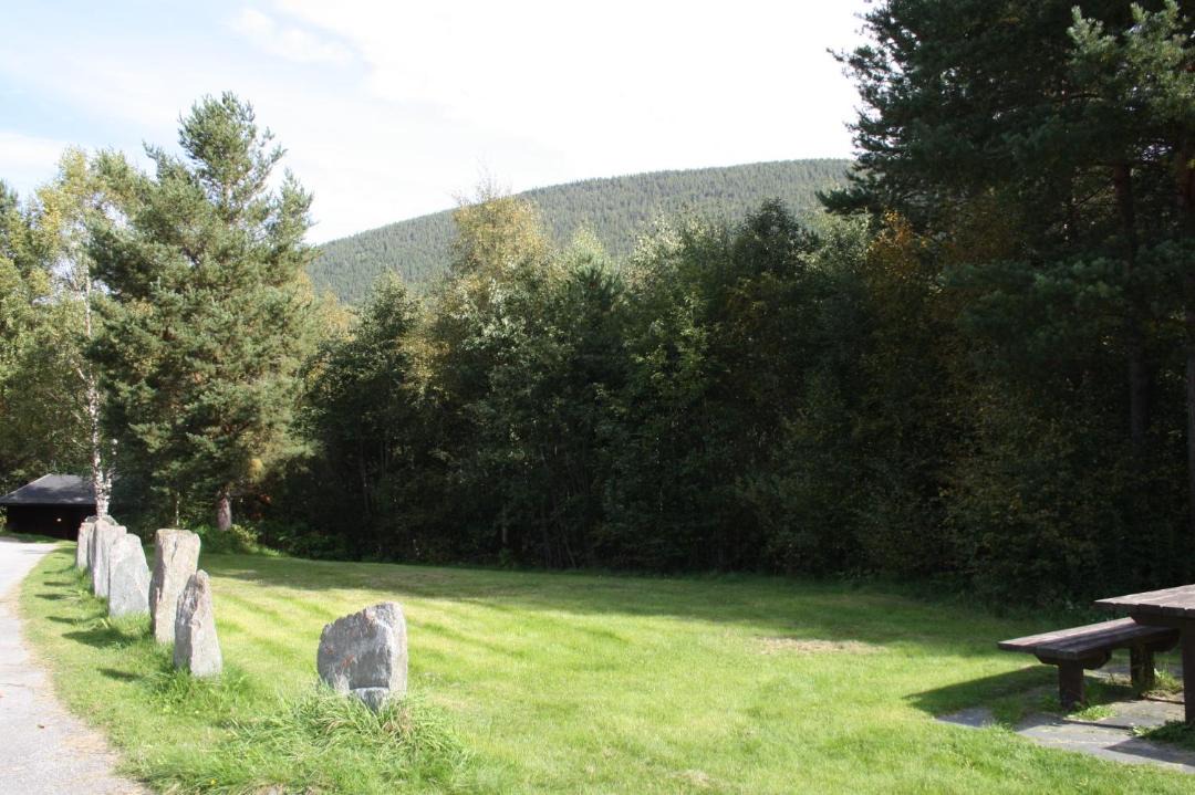Photo of Others in Dovreskogen