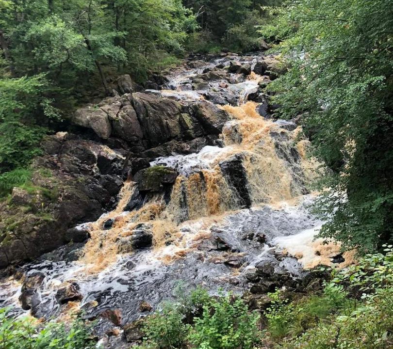 Photo of Others in Simlangsdalen