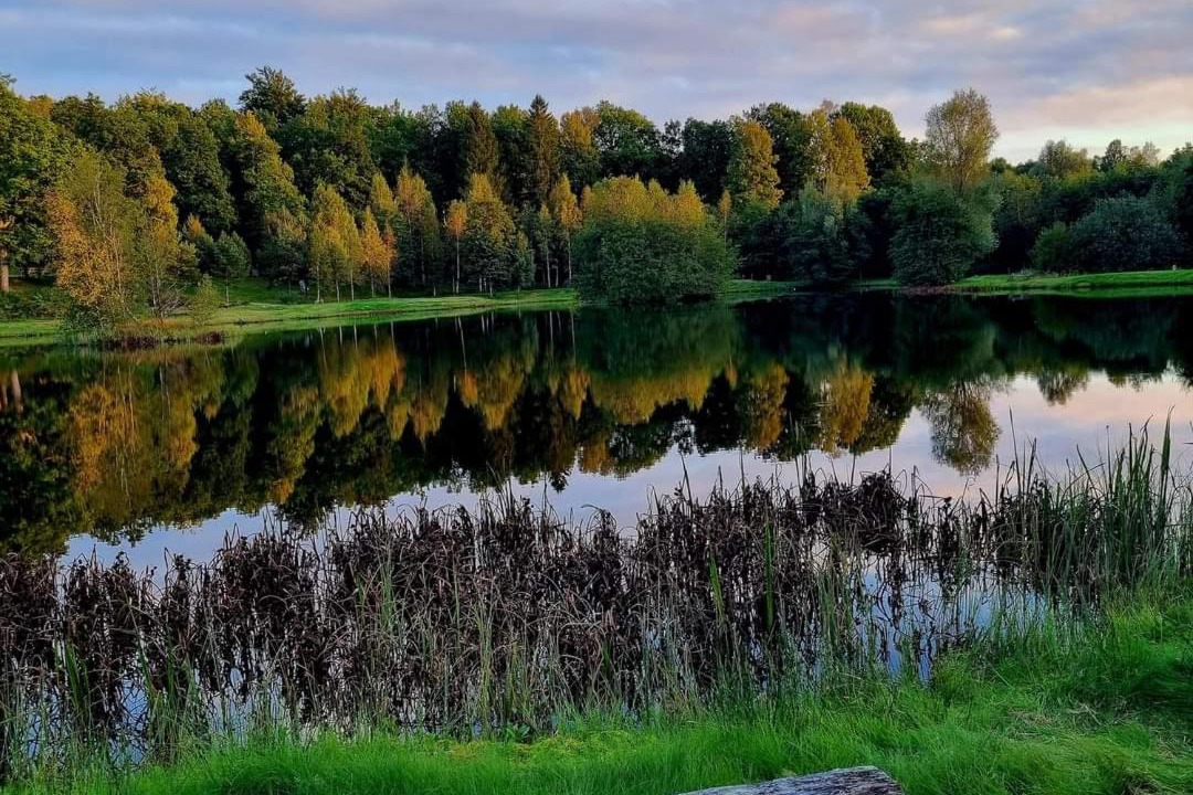 Photo of Others in Simlangsdalen