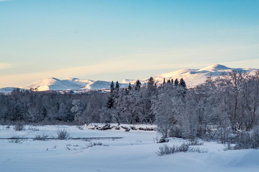 Photo of Others in Valadalen