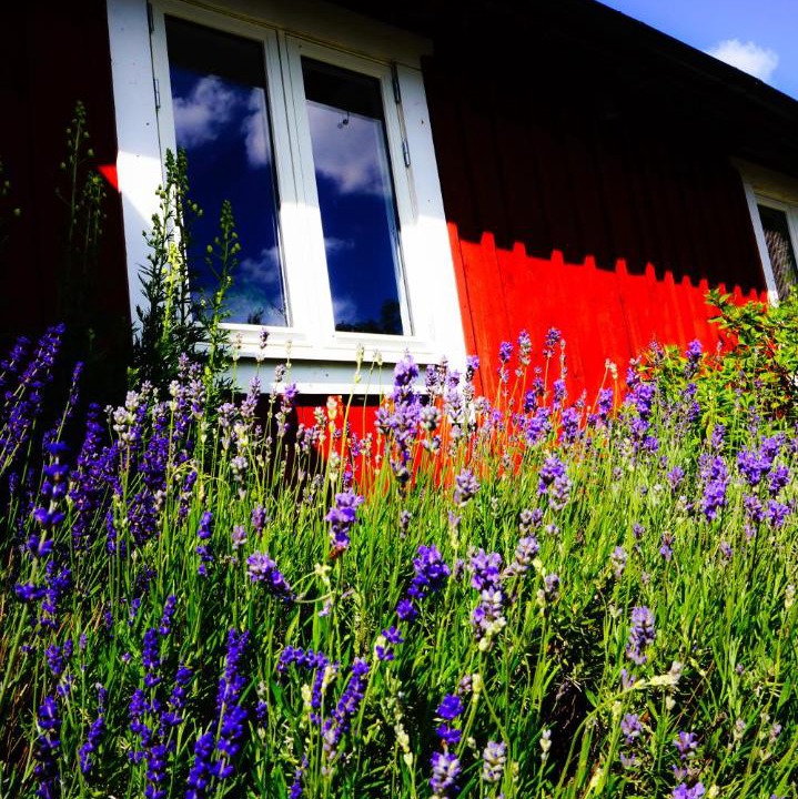 Photo of Others in Perstorp Municipality