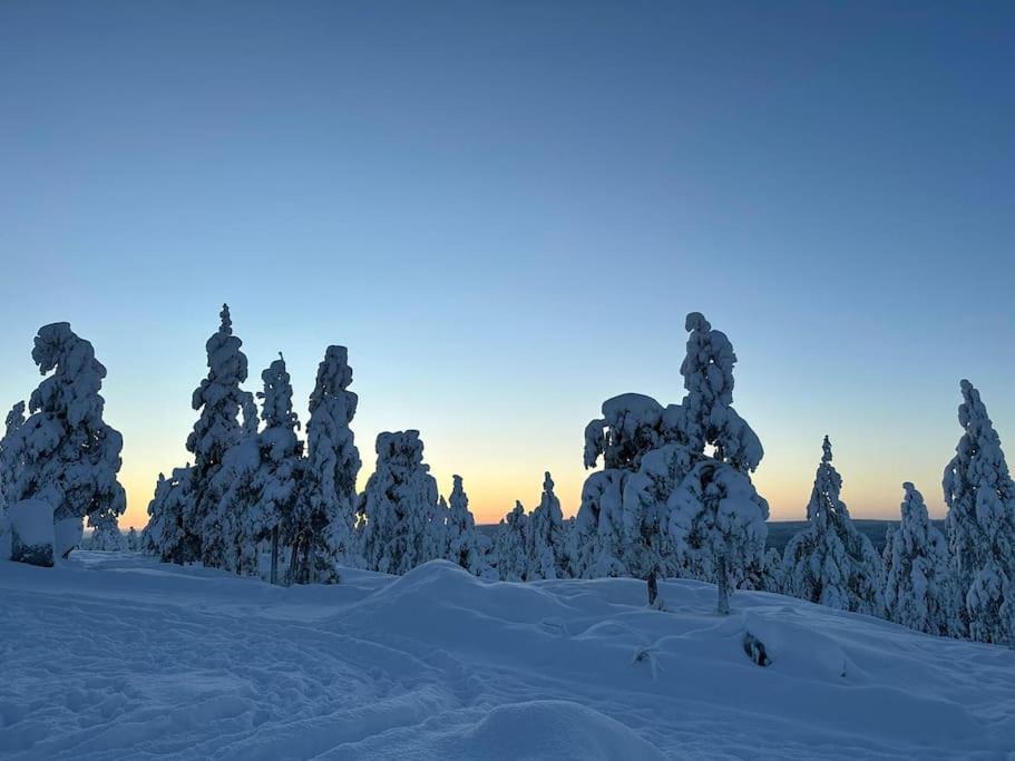 Photo of Others in Rovaniemi