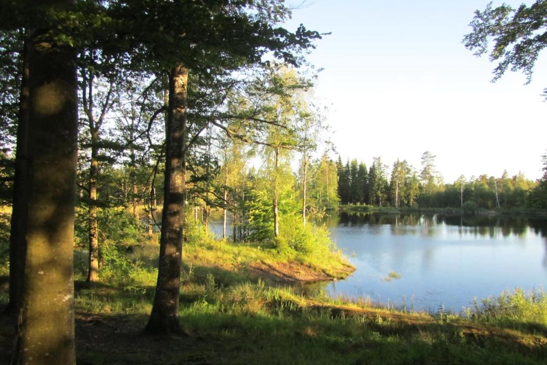 Photo of Others in Ullared