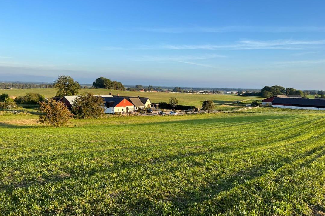 Photo of Others in Ystad