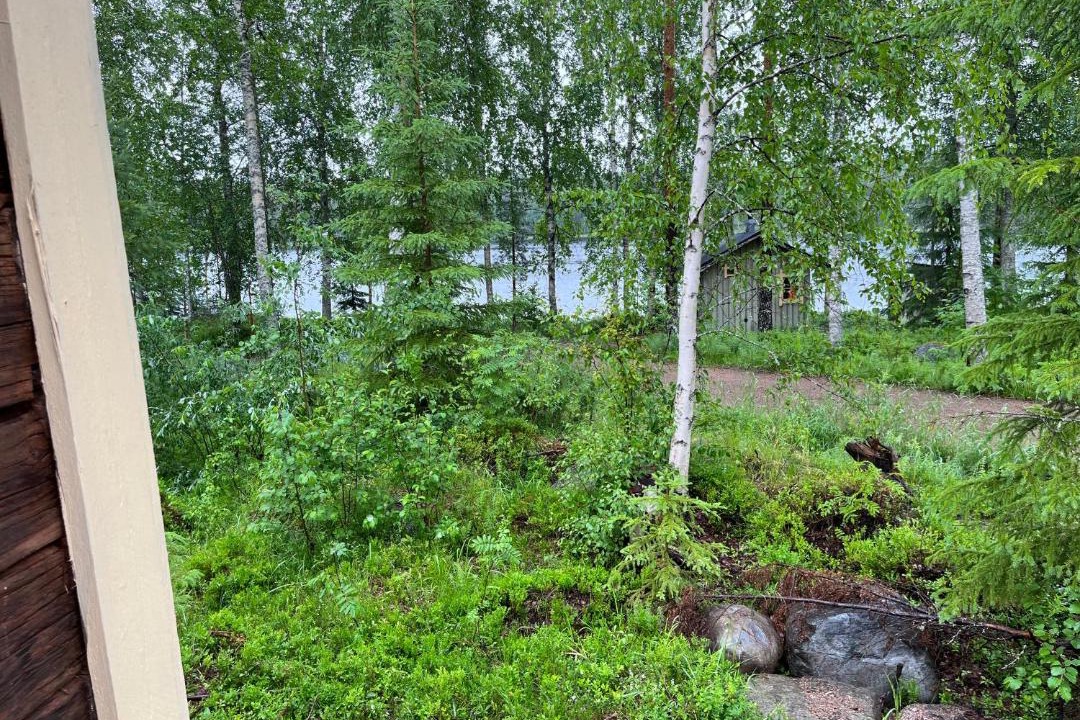 Photo of Others in Saarijarvi