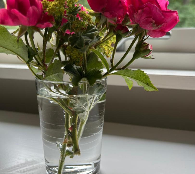 Photo of Patio Balcony in Jonstorp