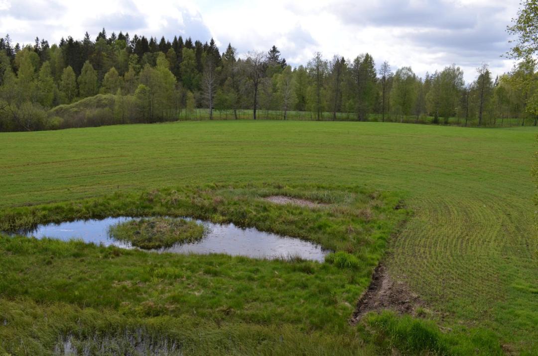 Photo of Others in Simlangsdalen