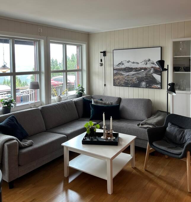 Photo of Livingroom in Skulestad