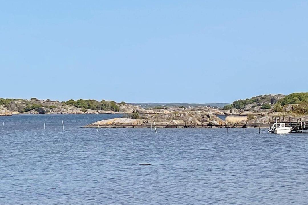 Photo of Others in Branno