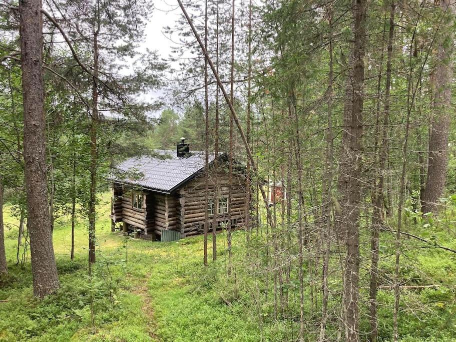 Photo of Others in Vuollerim