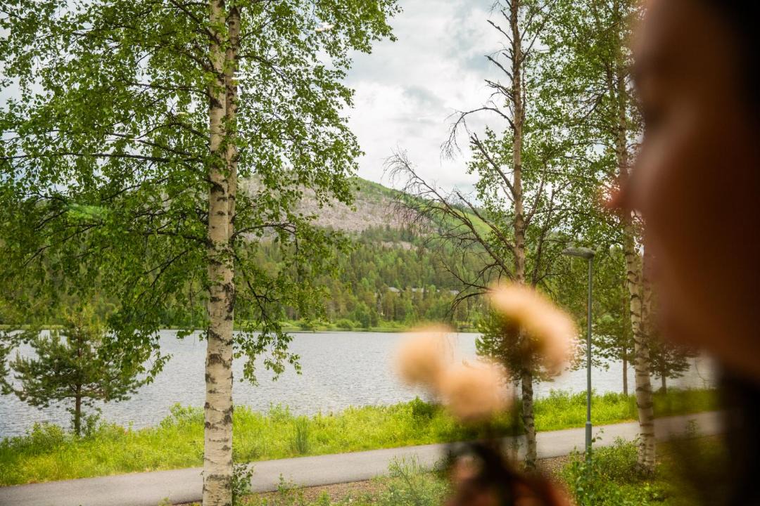 Photo of Others in Salla