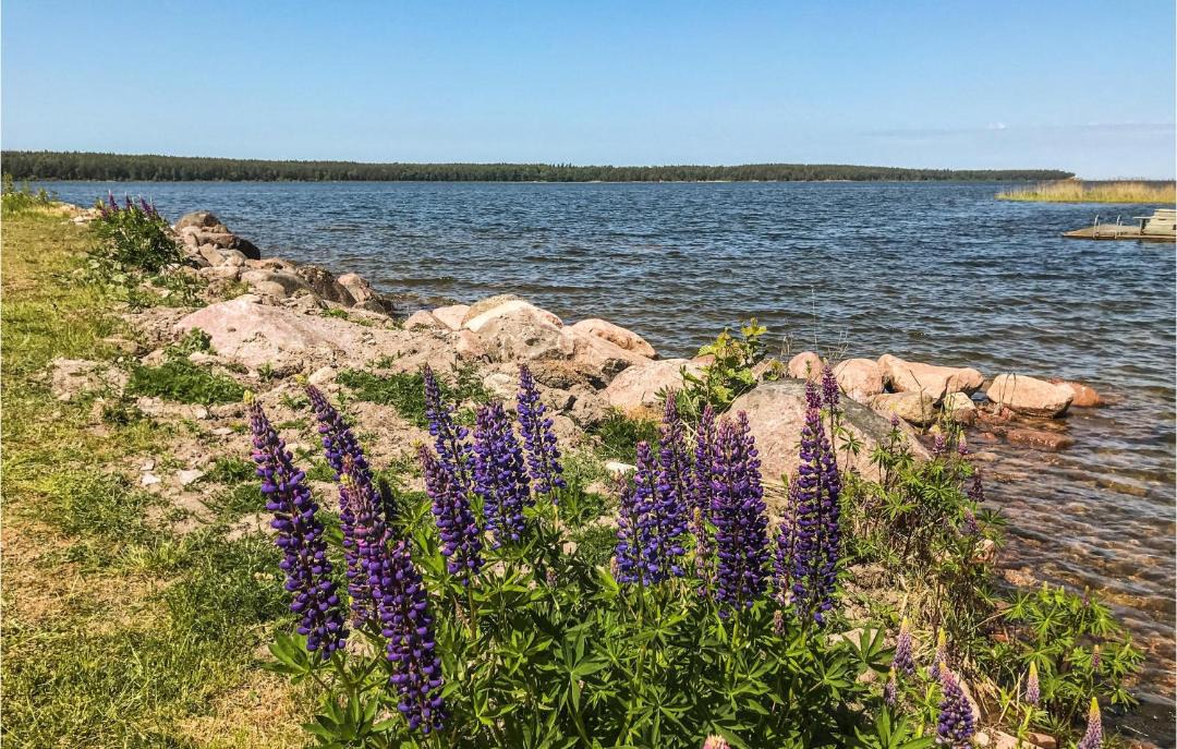 Photo of Outdoor in Mariestad Municipality