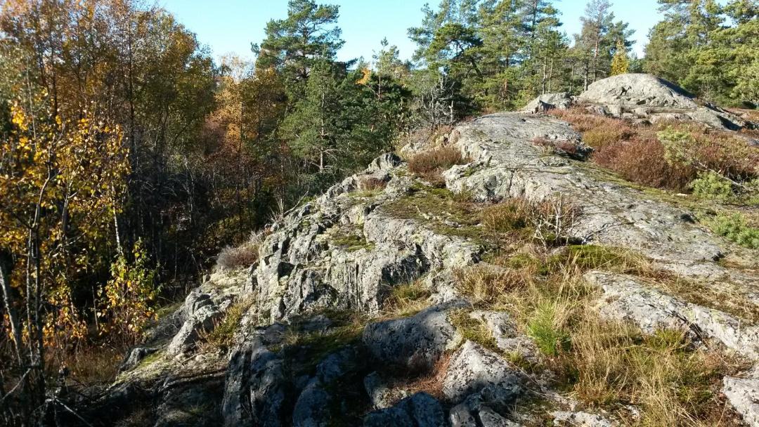 Photo of Outdoor in Johanneshov