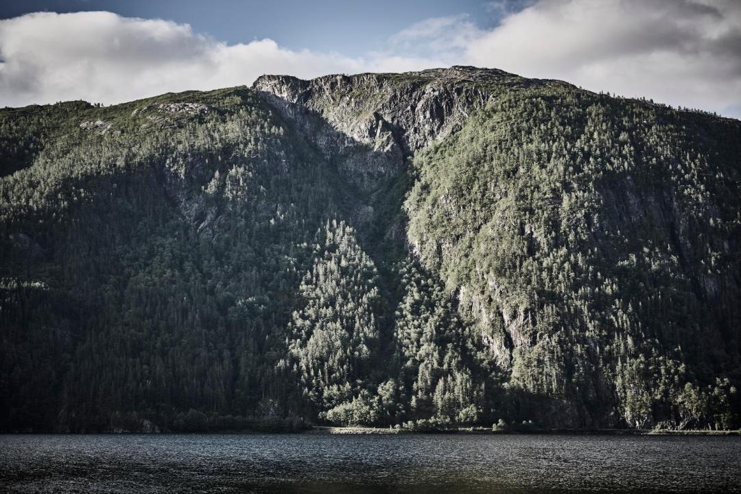 Photo of Others in Nesflaten