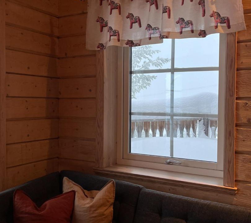 Photo of Others in Idrefjall