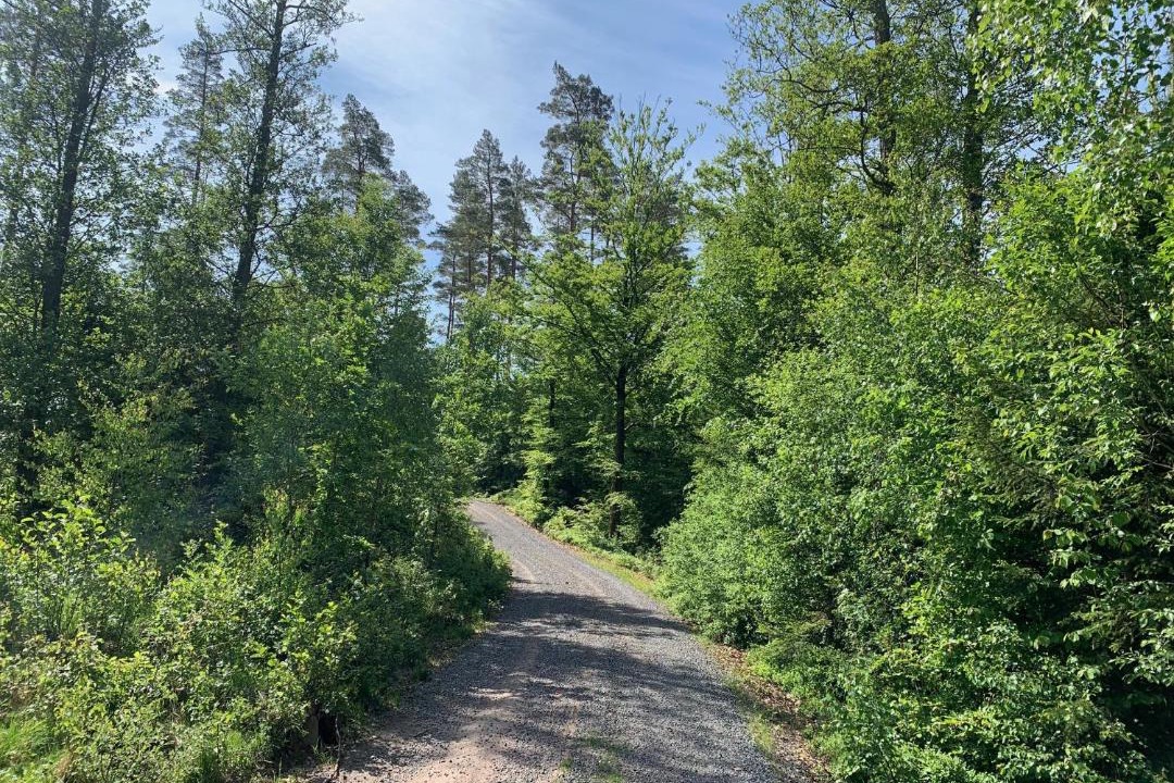 Photo of Outdoor in Immeln