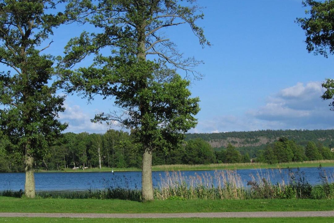 Photo of Others in Vanersborg