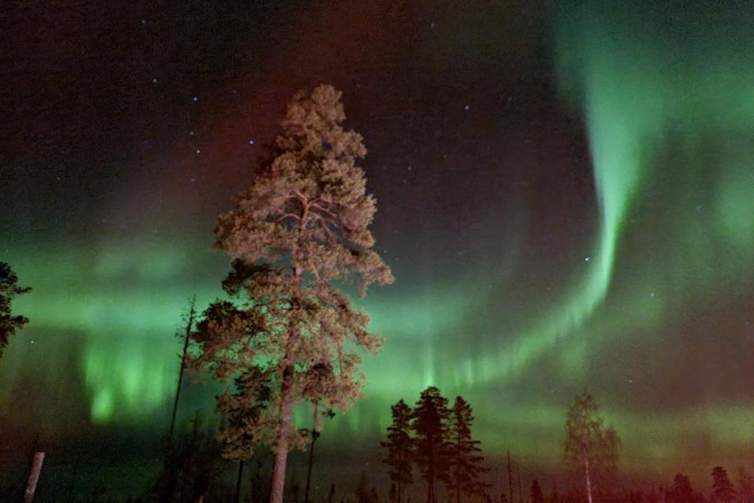 Photo of Others in Jorn
