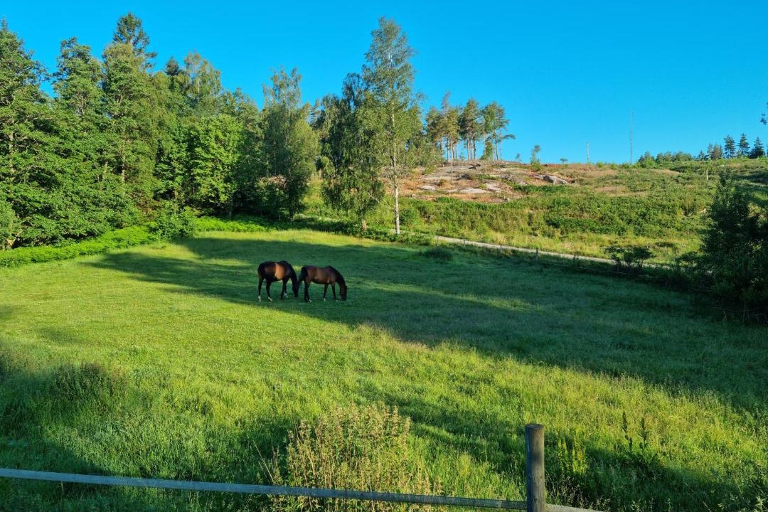 Photo of Outdoor in Stromstad O