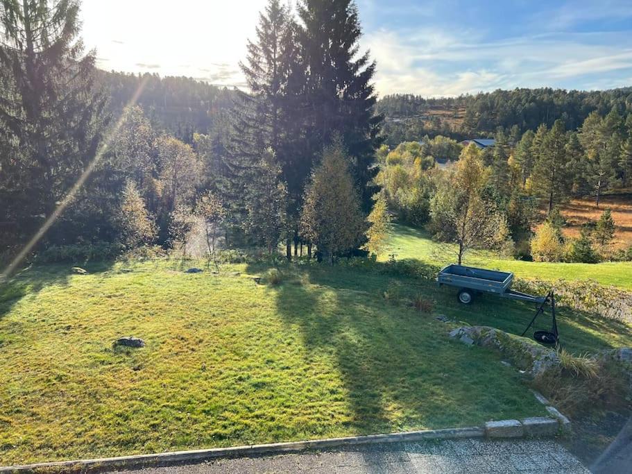 Photo of Outdoor in Molde