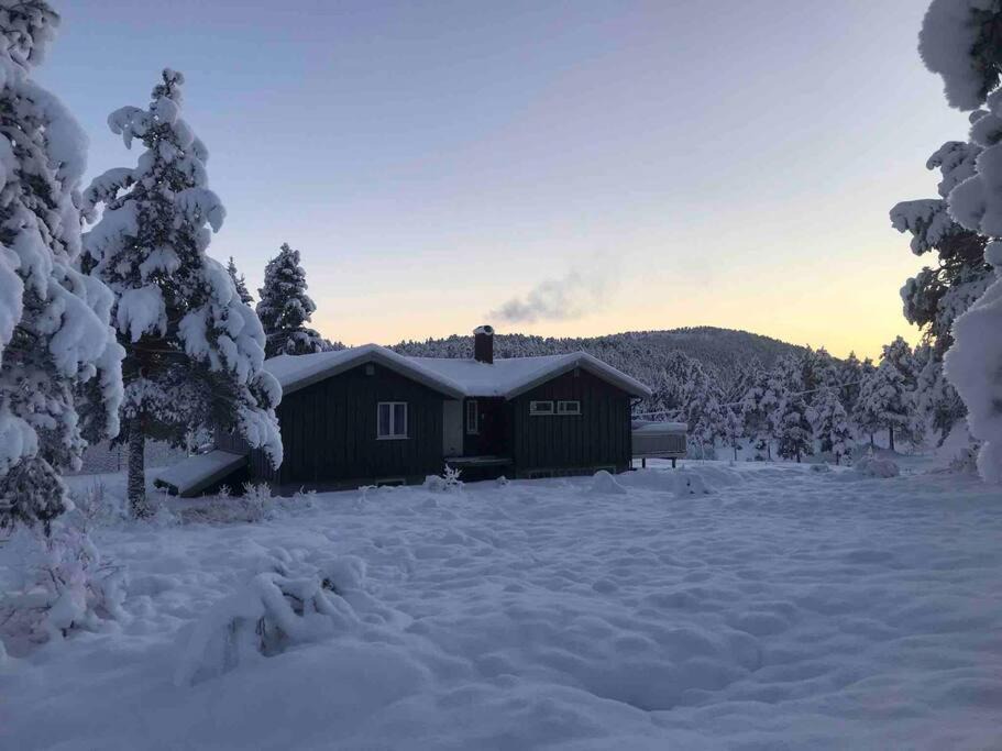 Photo of Buildings in Molde
