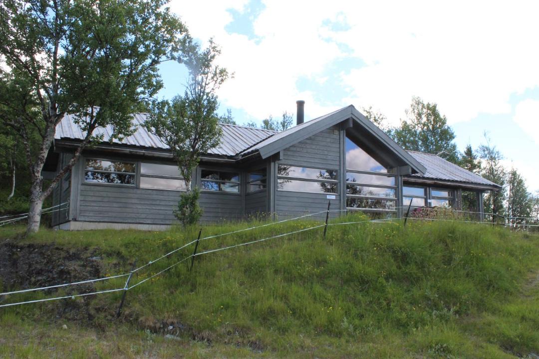 Photo of Buildings in Al