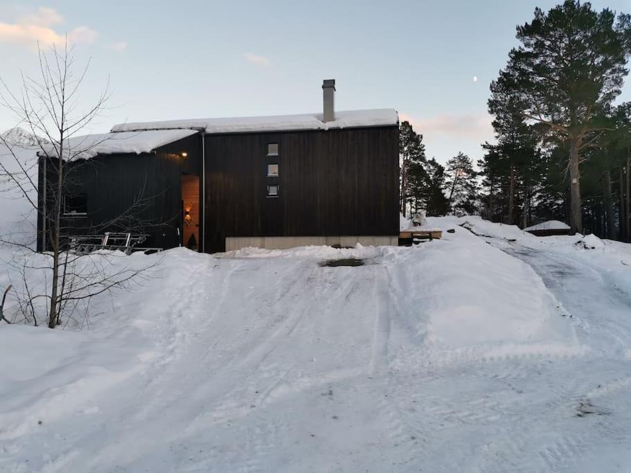 Photo of Buildings in Isfjorden