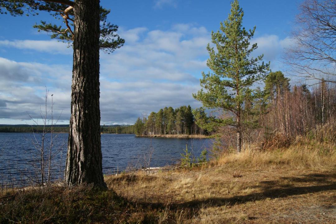 Photo of Outdoor in Ramsjo