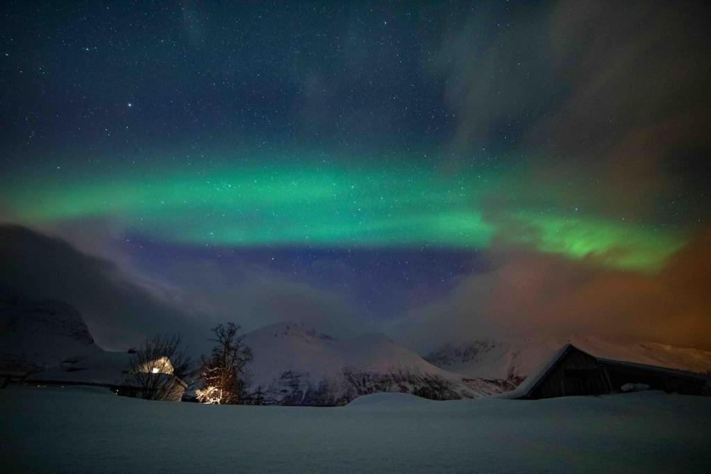 Photo of Others in Tromso
