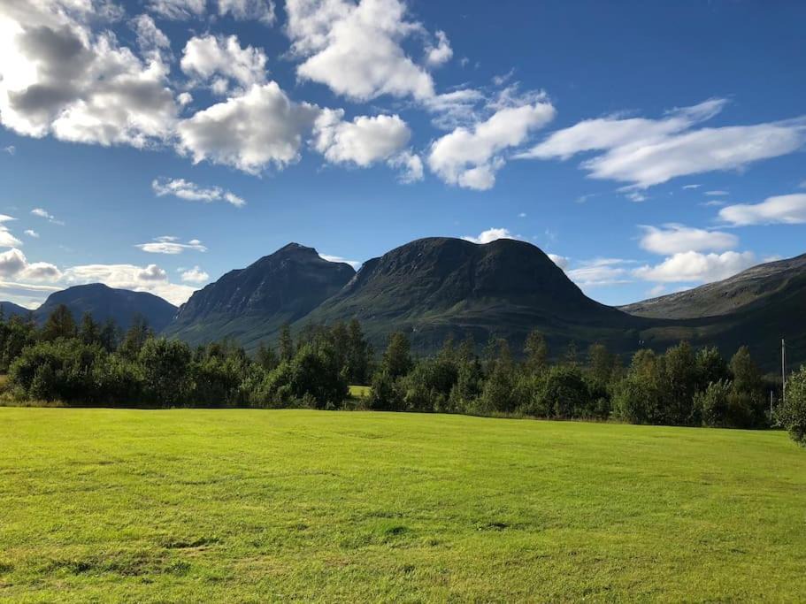 Photo of Others in Tromso