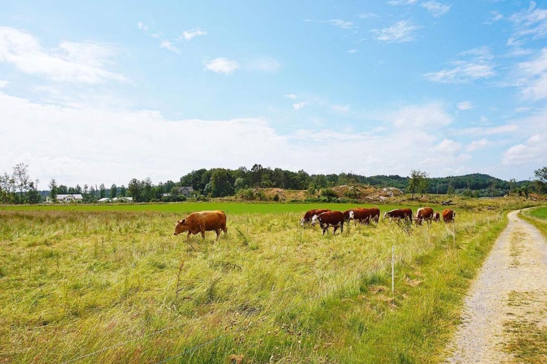 Photo of Outdoor in Mora