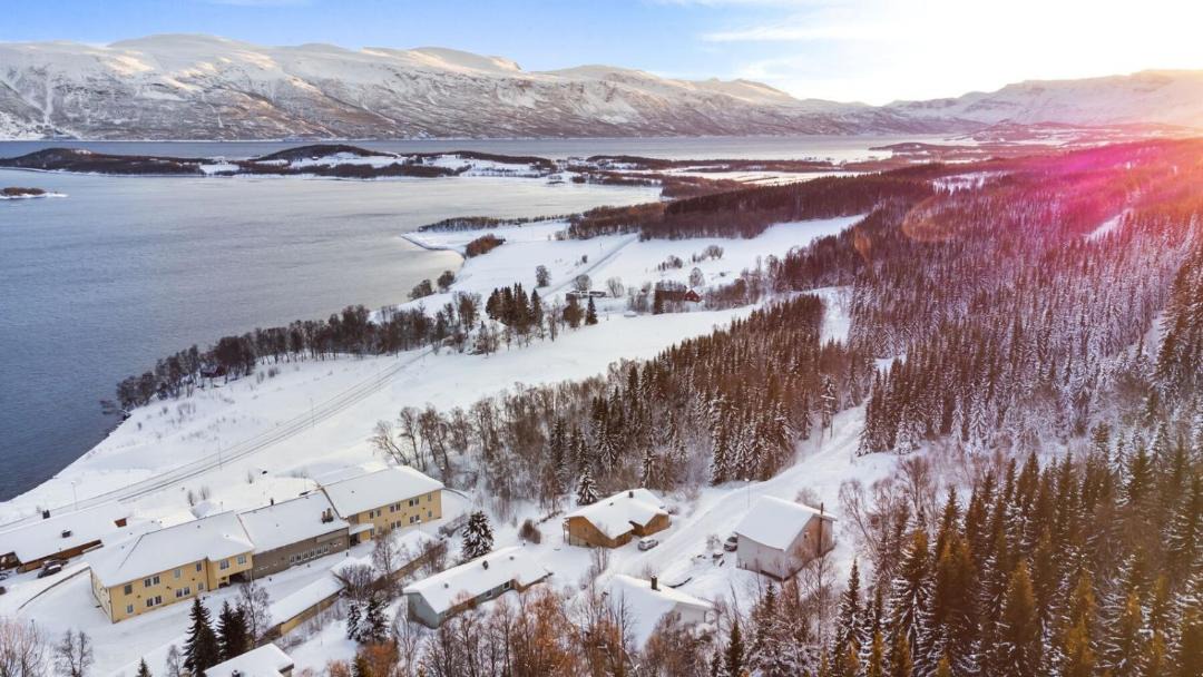 Photo of Others in Lyngen