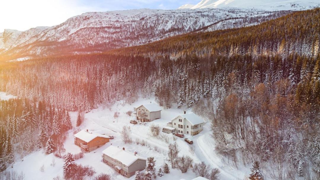 Photo of Others in Lyngen