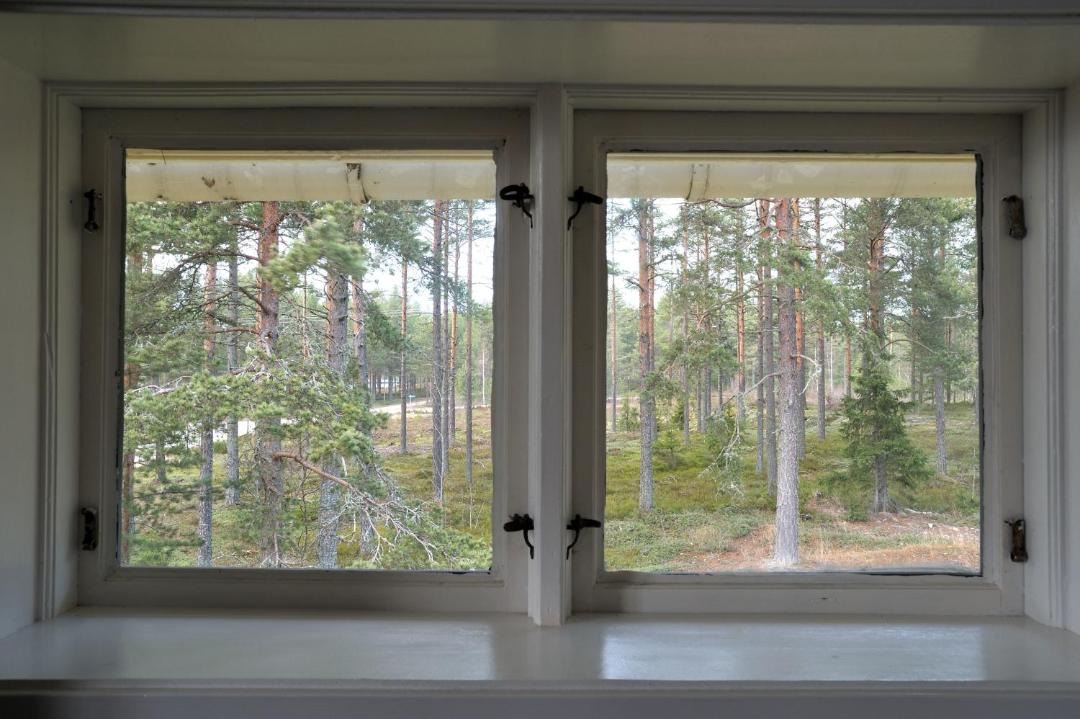 Photo of Others in Bergby