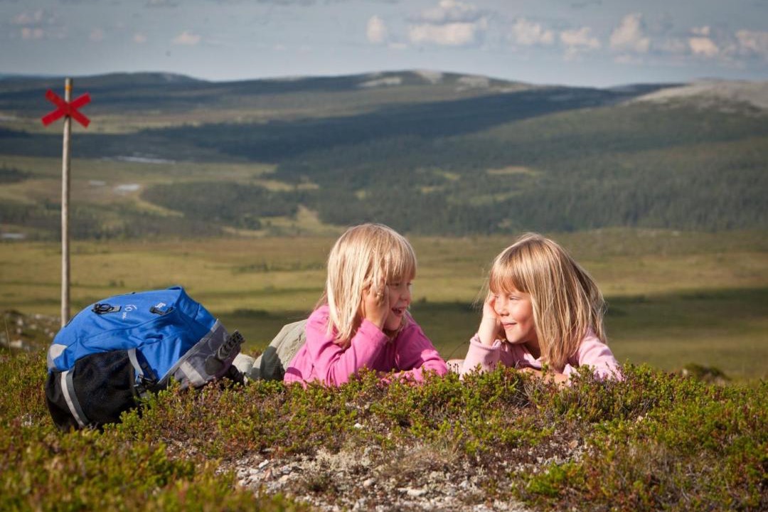 Photo of Others in Vemdalen