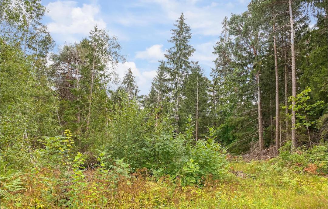 Photo of Outdoor in Larbro