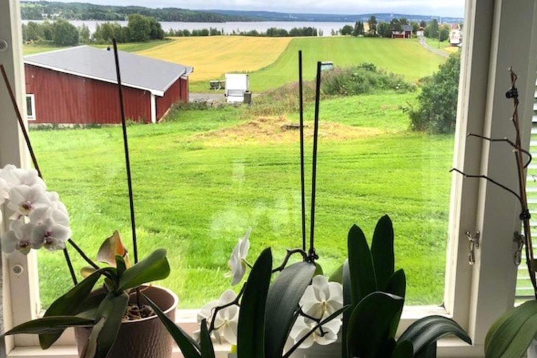 Photo of Patio Balcony in Krokom