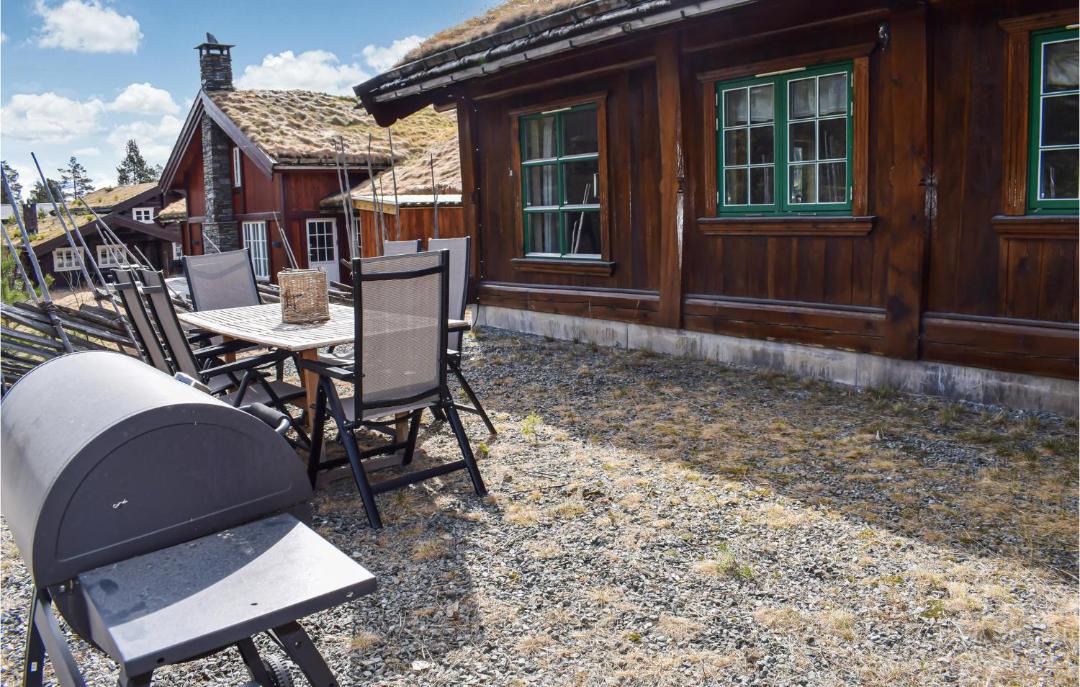 Photo of Others in Hemsedal