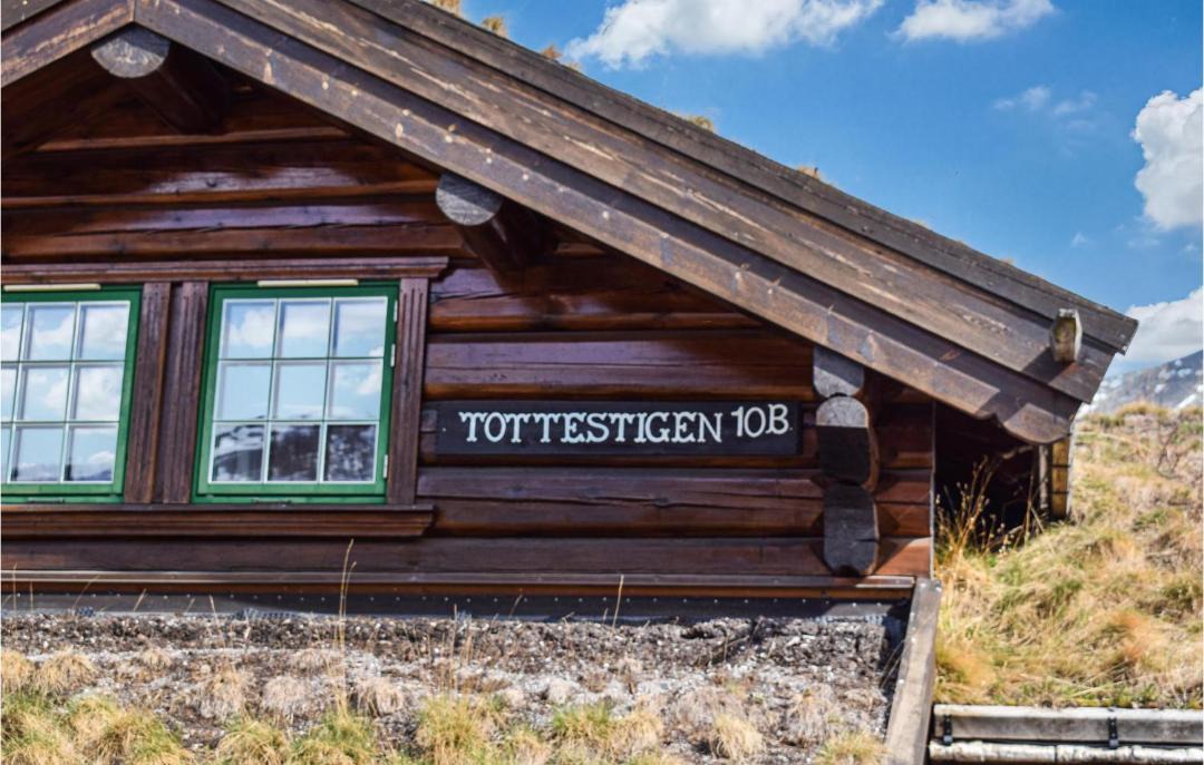 Photo of Others in Hemsedal