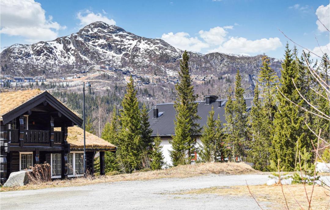 Photo of Others in Hemsedal