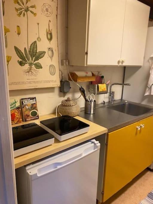 Photo of Kitchen in Glemminge