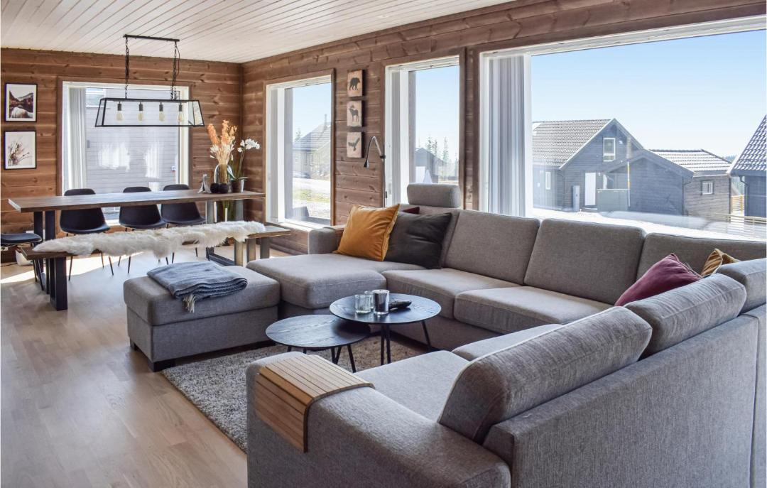 Photo of Livingroom in Sjusjoen