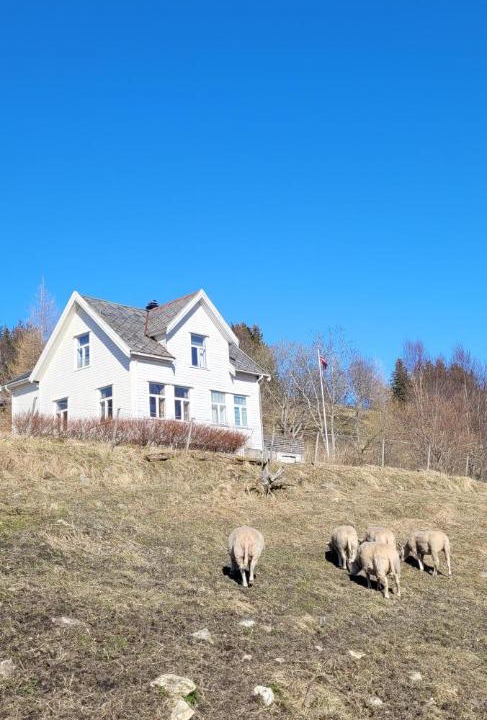 Photo of Others in Leirfjord