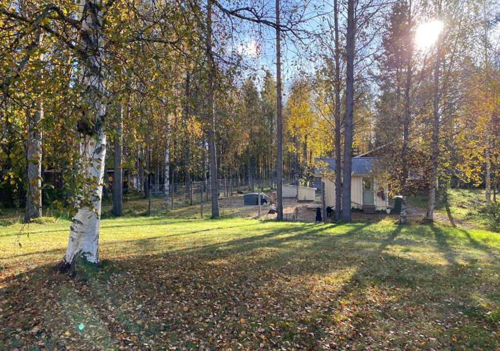 Photo of Others in Pudasjarvi