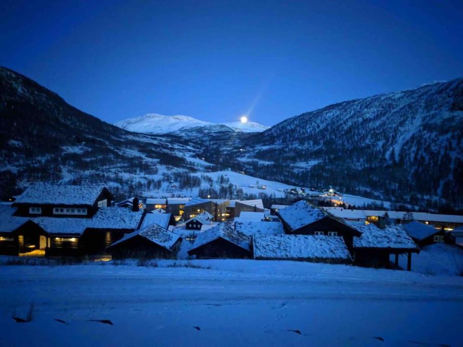 Photo of Others in Myrkdalen