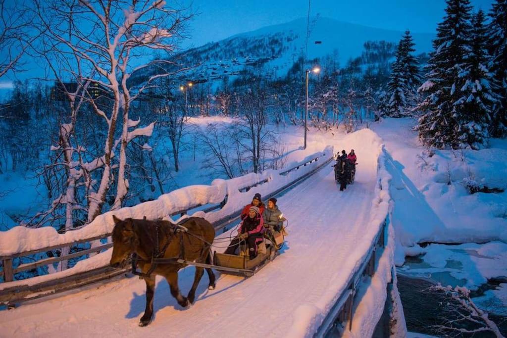 Photo of Others in Myrkdalen